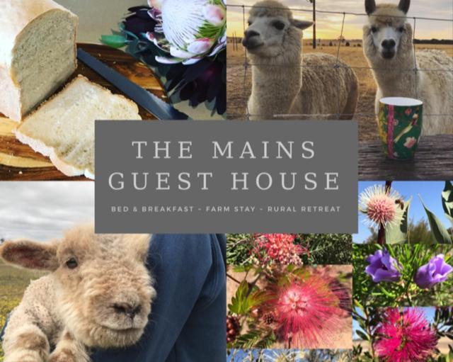 The Mains Guest House 2 Bedroom Farm Stay Corrigin Buitenkant foto